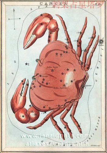 柳宿增三恒星 _占星术恒星全解析