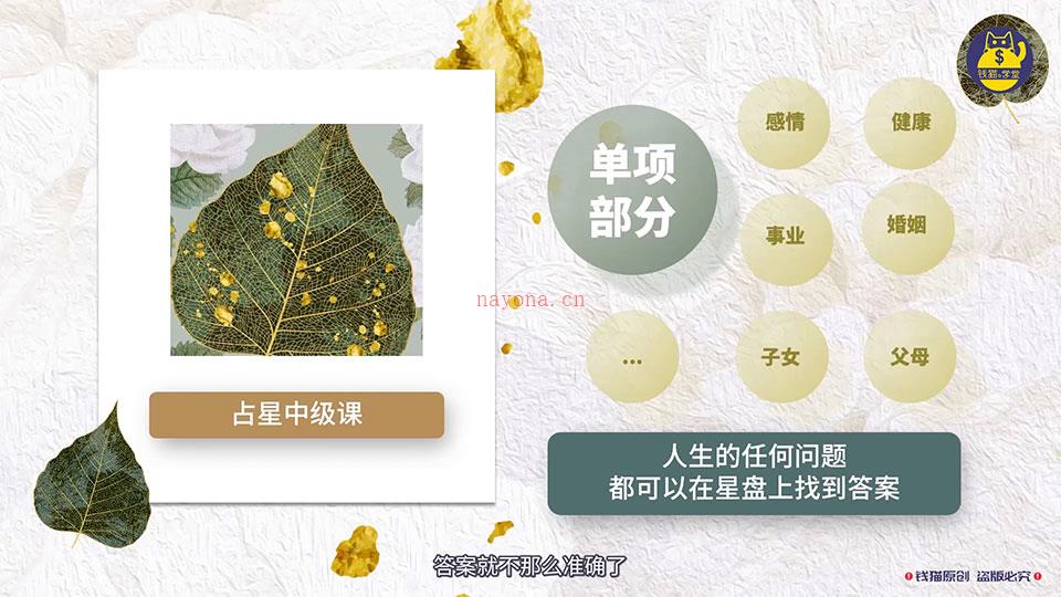 saya赛雅老师占星中级进阶课程视频10集