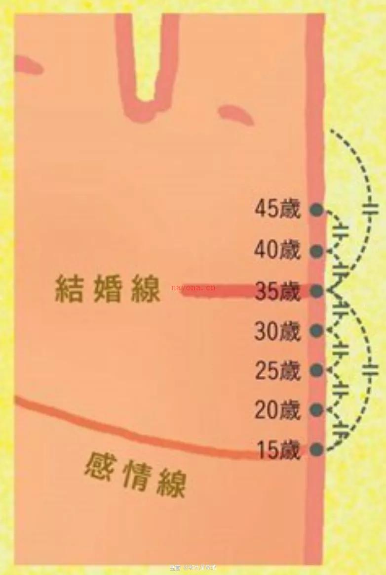 手中有世界 | 手相入门（五、预测婚期、婚姻观）