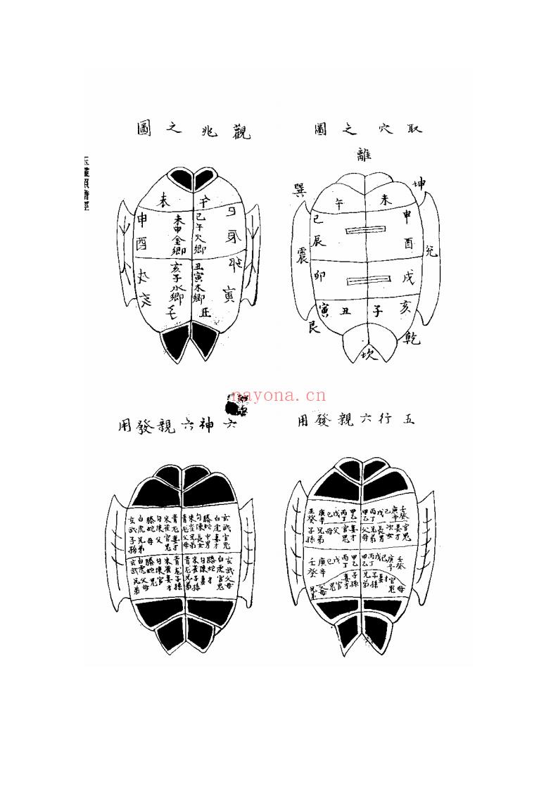 奥修禅卡教学课课程 奥修禅卡百度网盘￼