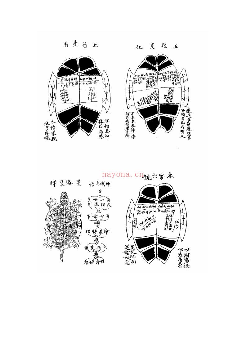 占星学视频课程资源  塔罗牌教学全套课程（全网最全最专业的）