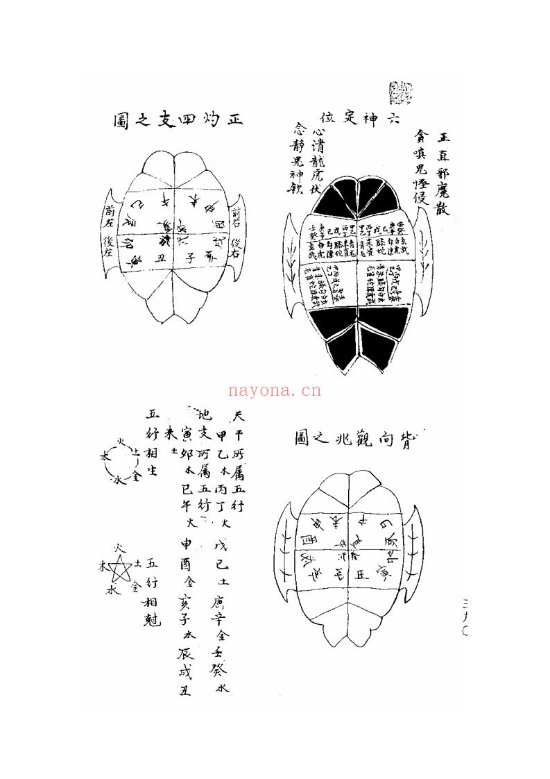 占星学视频课程资源  塔罗牌教学全套课程（全网最全最专业的）