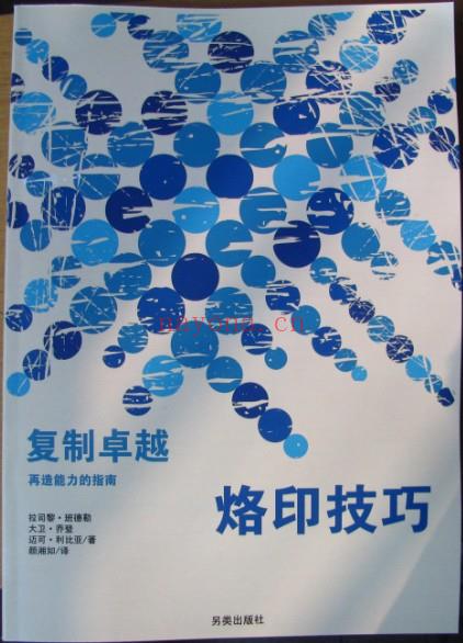 NLP激发潜能系列9-《复制卓越（一）－烙印技术：再造能力的指南》PDF 下载