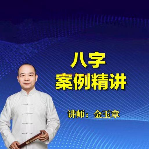 金玉章八字实务案例 和四柱八字精批音频教学28个插图