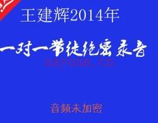 2014王建辉民间子平授徒+十神歌决+上课录音插图