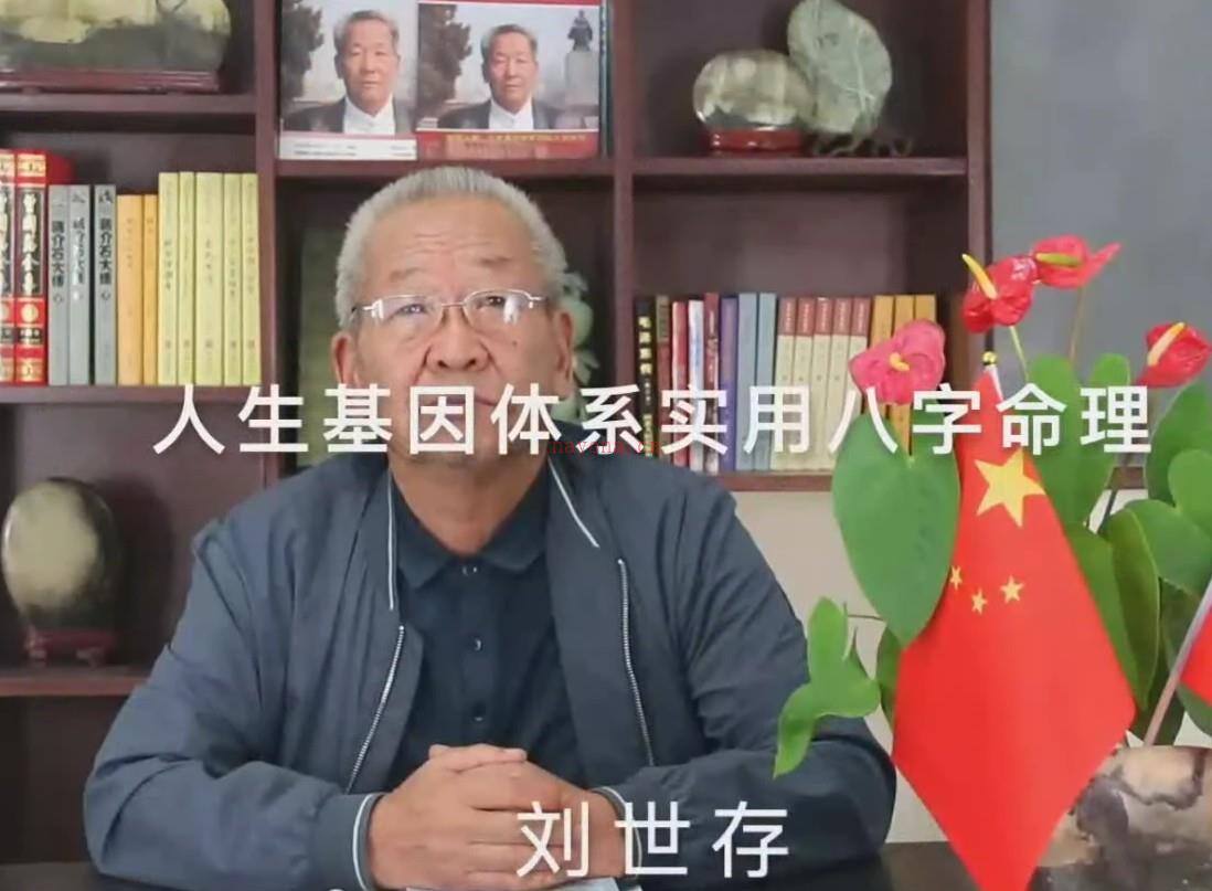 刘世存2019人生基因体系实用八字命理视频插图