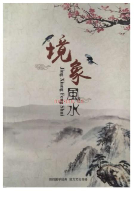 陈春林-镜像风水(高清）.pdf 最新案例 电子版资源 百度云网盘下载！插图1