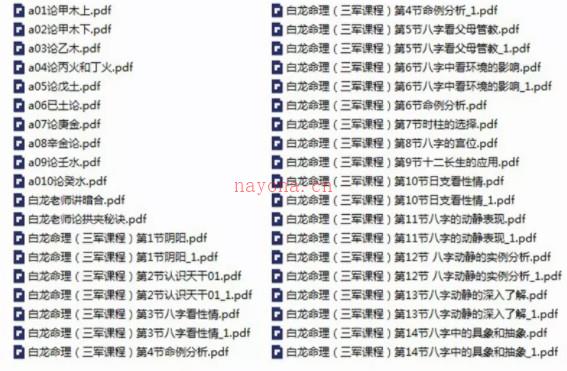 白龙老师八字命理基础课程+提高班课程合集插图