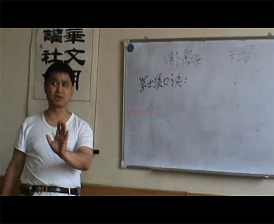 潘长军 2009年7月小风水-内环境（内八卦）视频3集 百度网盘资源