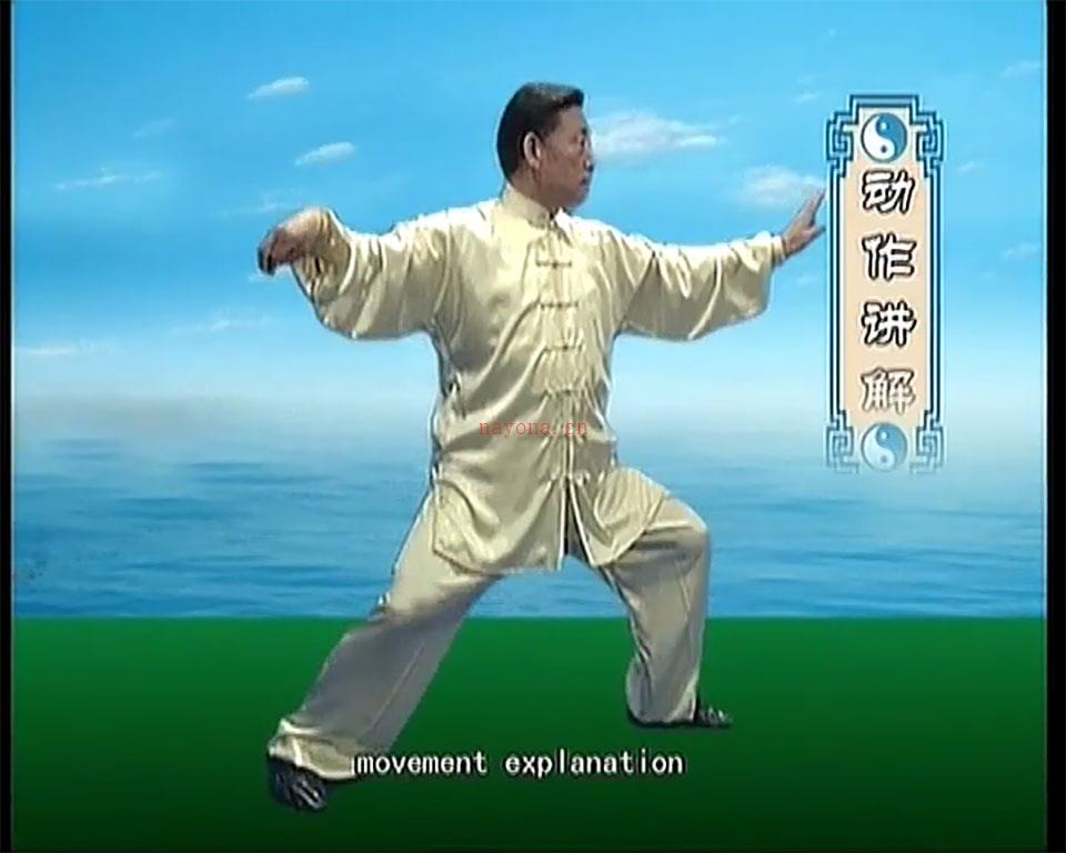 陈氏杨氏太极拳课程视频合集 百度网盘资源