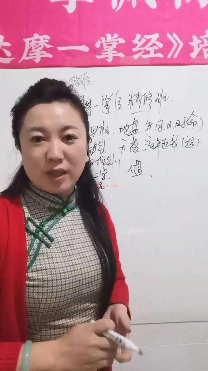 李佩袀 达摩一掌经精修班直播视频12集百度网盘资源