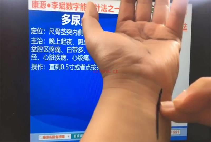 李斌 数字能量一针疗法第二季视频13集百度网盘资源