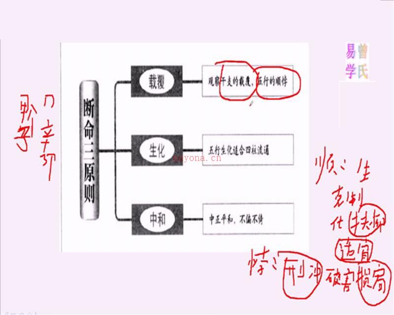 曾氏易学四柱八字高级课程视频50集+教材百度网盘资源