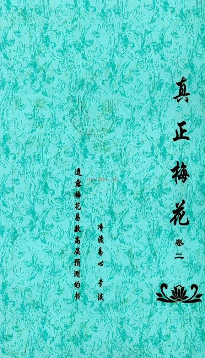 净度易心-《真正梅花》三券+《阴阳梅花》 pdf电子书