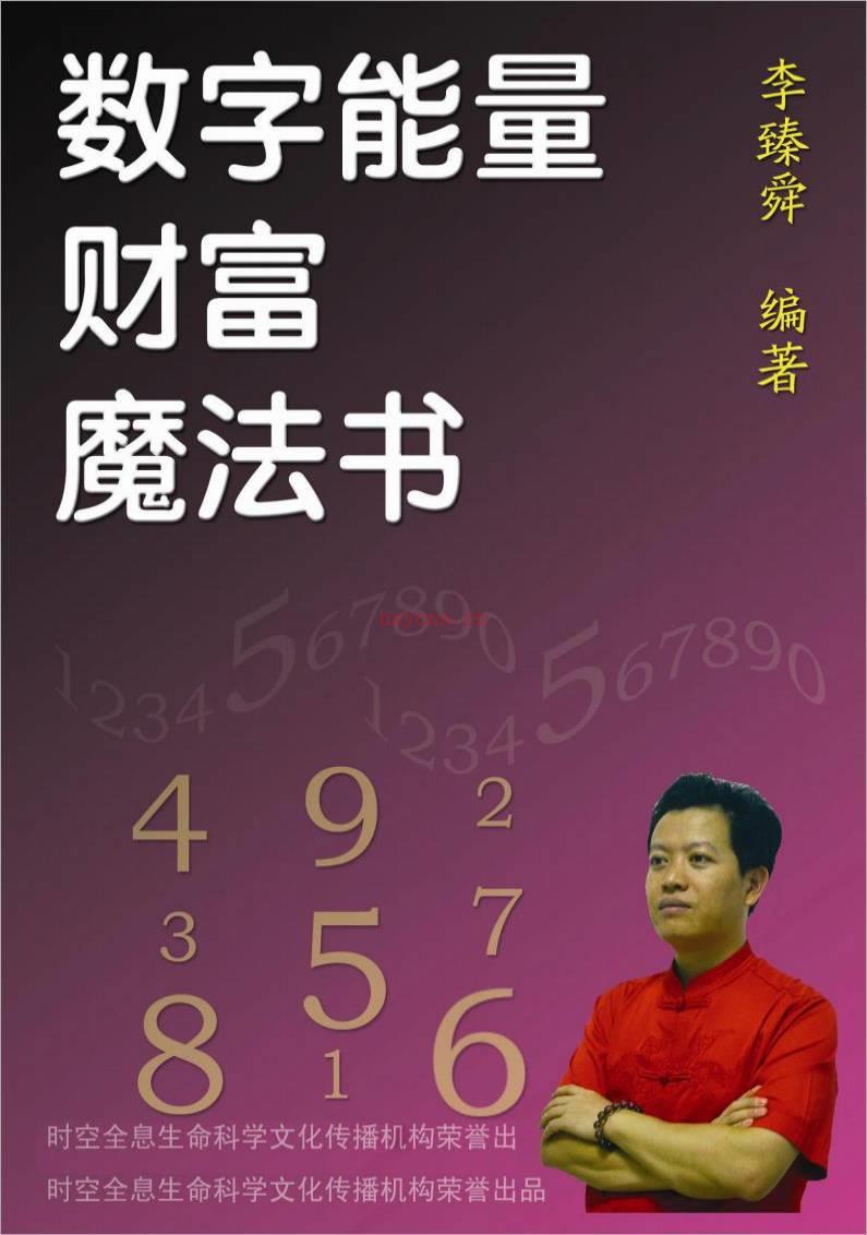 《数字能量财富魔法书》李臻舜着.pdf百度网盘资源