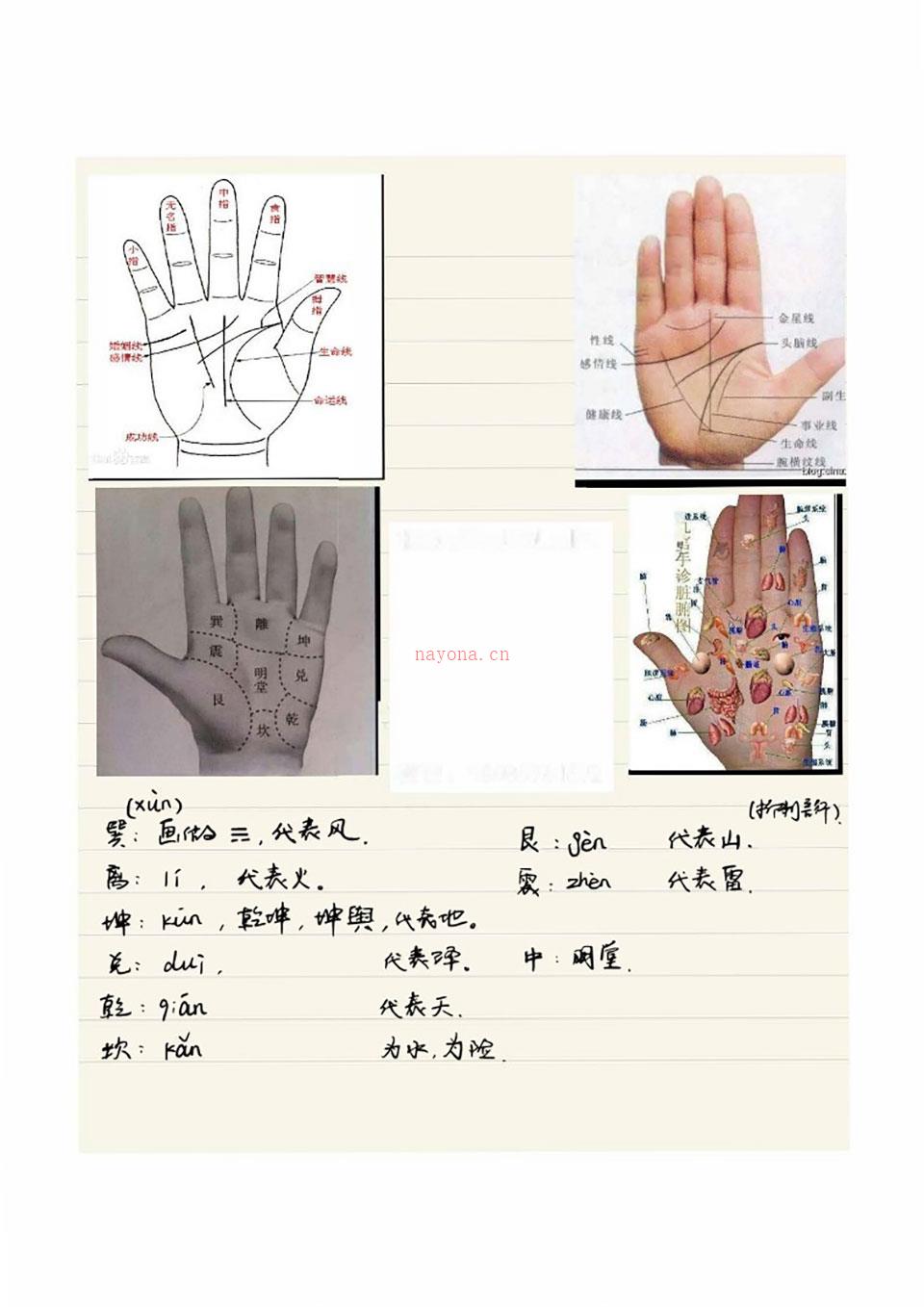 黄瑞海手相弟子班教学案例273页200个案例.pdf 百度网盘资源