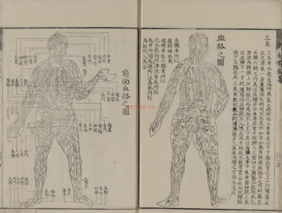 解体针要 百度网盘资源