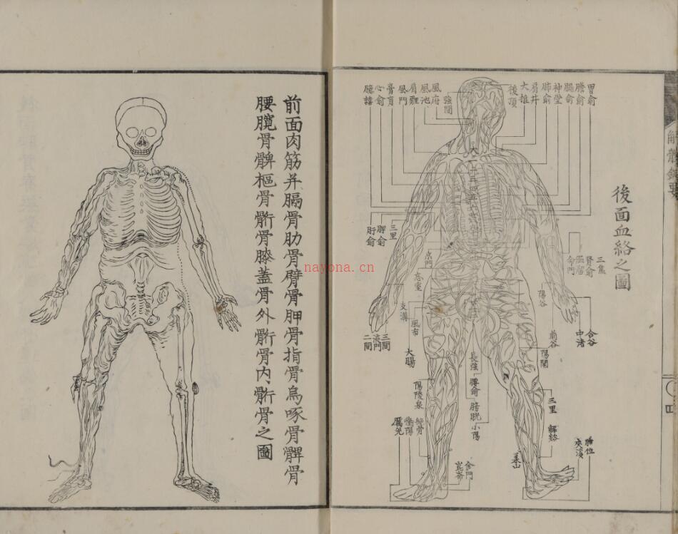 解体针要 百度网盘资源