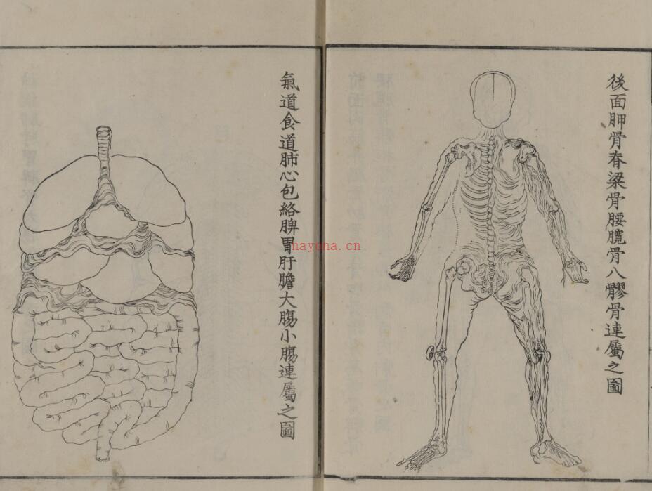 解体针要 百度网盘资源