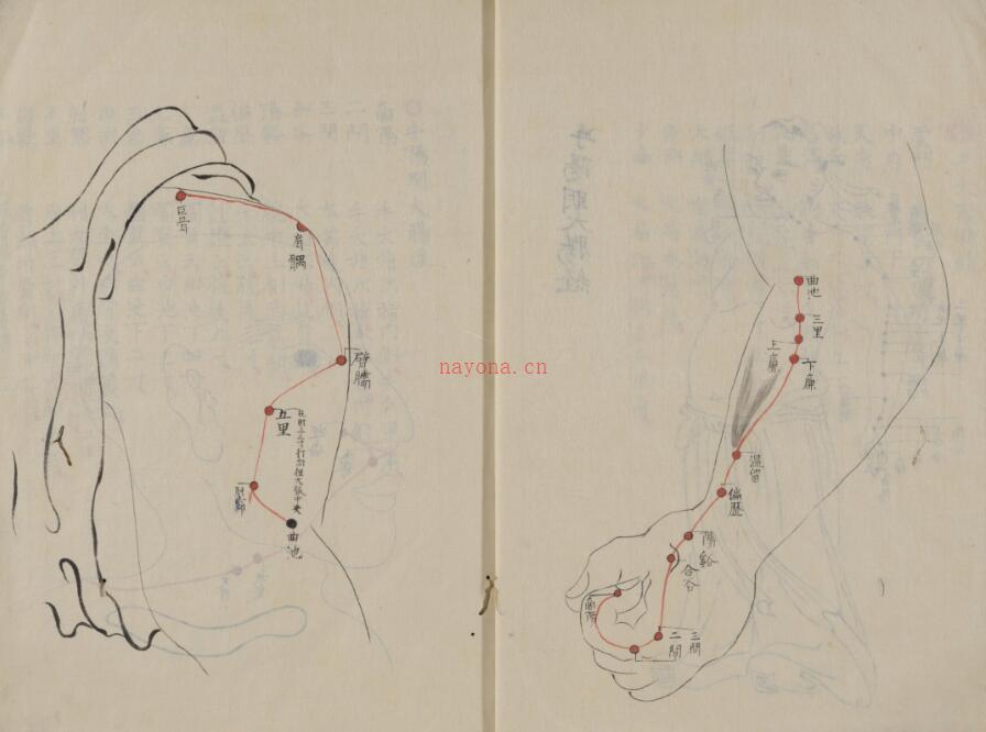 困学经穴法 百度网盘资源