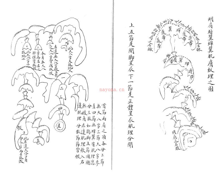 形家五要正编（古本） 百度网盘资源