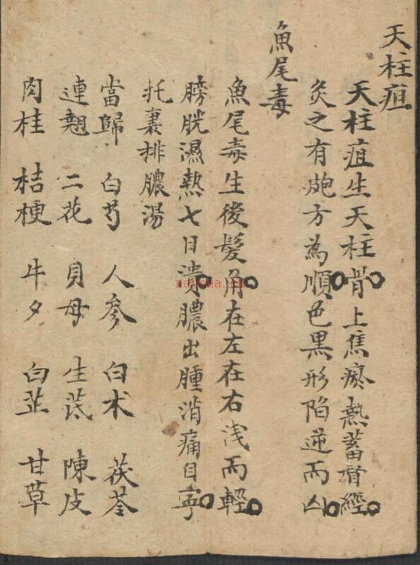 外科全书, 1904 百度网盘资源