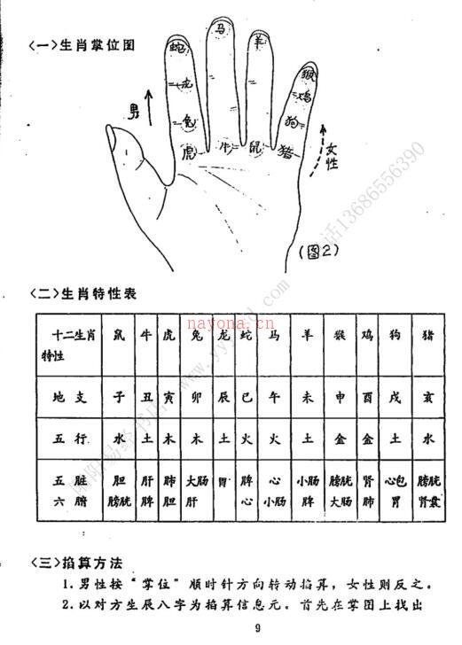 史小文-掐指报密法 （有水印） 百度网盘资源