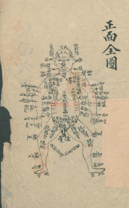 姚仰三; 黄廷 秘传跌打钹方 百度网盘资源