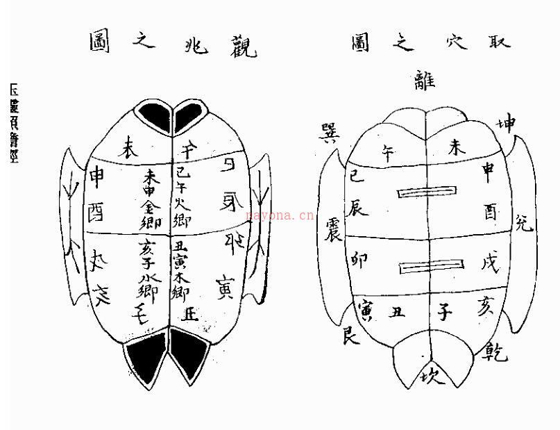 玉灵照胆经 百度网盘资源