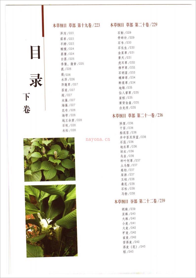 本草纲目彩色图鉴（下卷）256页.pdf 百度网盘资源