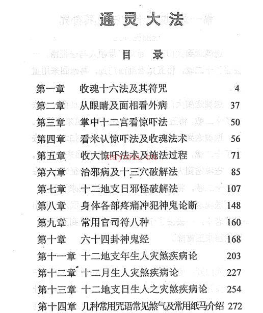 冲天居士李纯文：通灵大法 292页.pdf 网盘下载 百度网盘资源