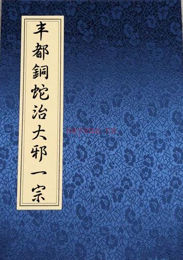 丰都铜蛇治大邪一宗.pdf 百度网盘下载 百度网盘资源