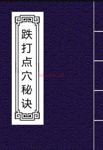 跌打点穴秘诀.pdf 中医古籍传统国学网 百度网盘资源