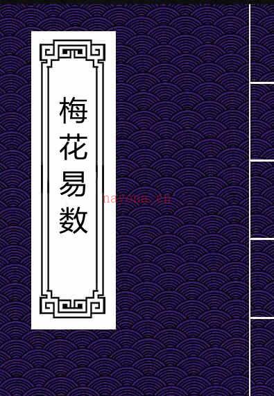 梅花易数.pdf 易经占卜百度网盘下下载 易善医书网 百度网盘资源