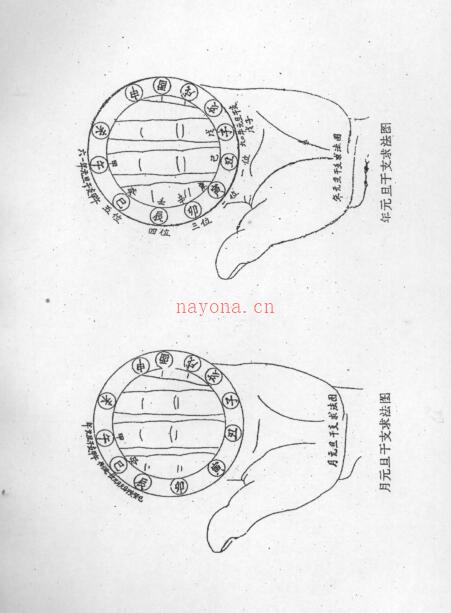 干支计算一掌诀 百度网盘资源