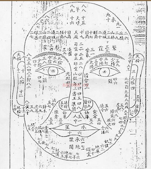 盛书笙古相法函授教材 百度网盘资源