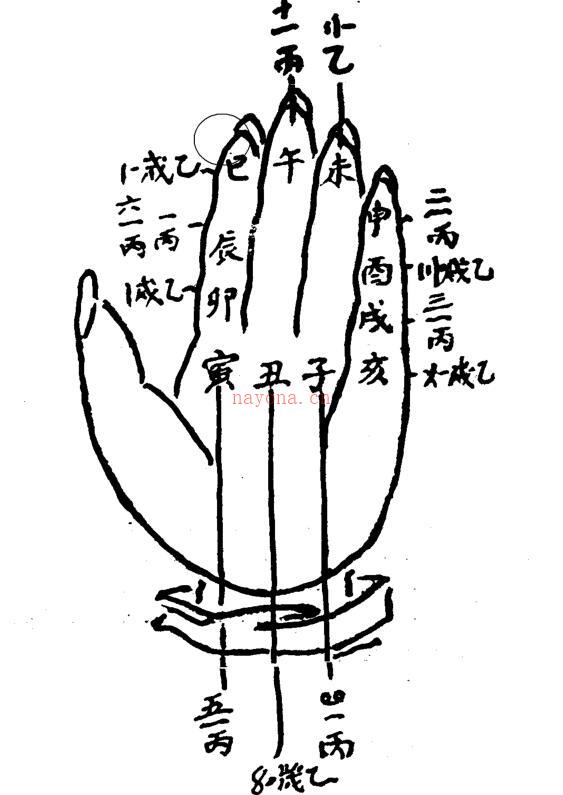 袁树珊·命理探源 百度网盘资源