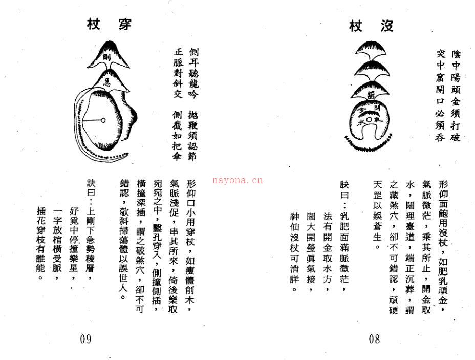 杨救贫 地理秘本-杨公倒杖十二法 百度网盘资源