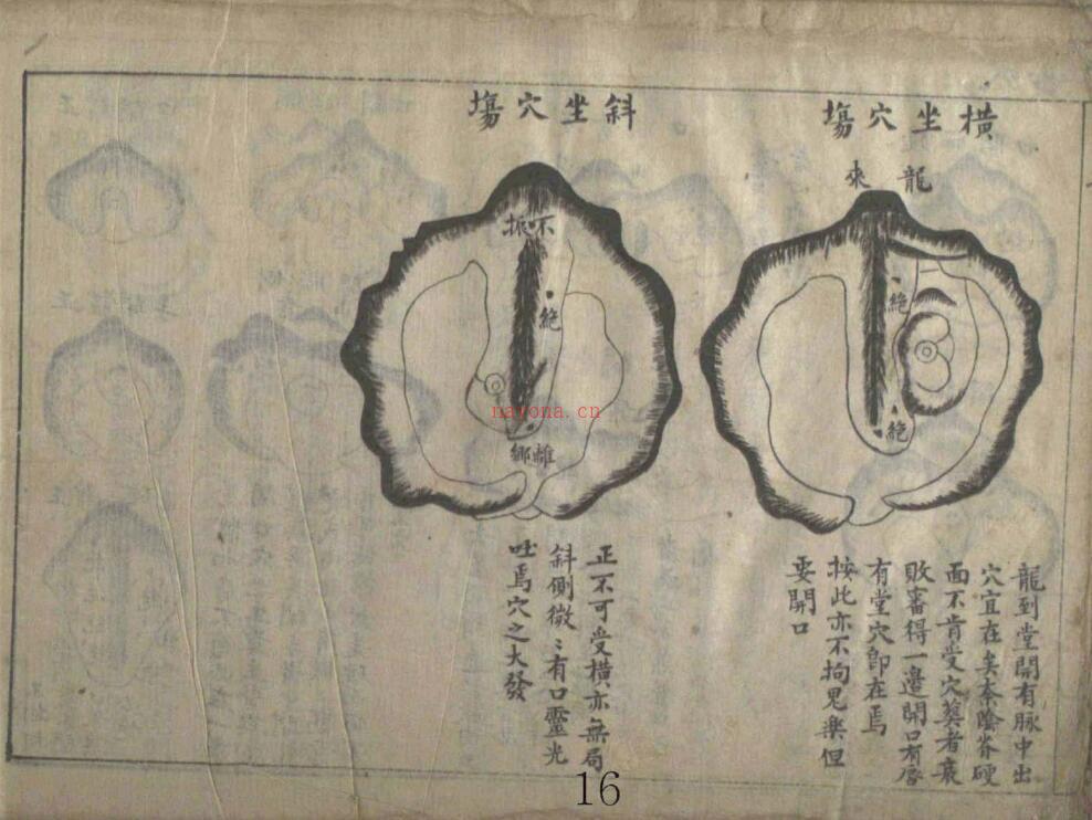 地学(韩国收藏版) 百度网盘资源