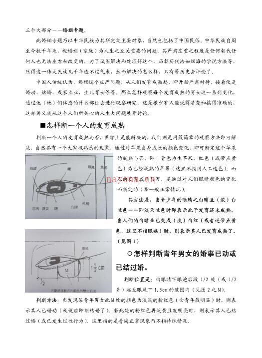 陈鼎龙手面相婚姻专题讲义.pdf 百度网盘资源