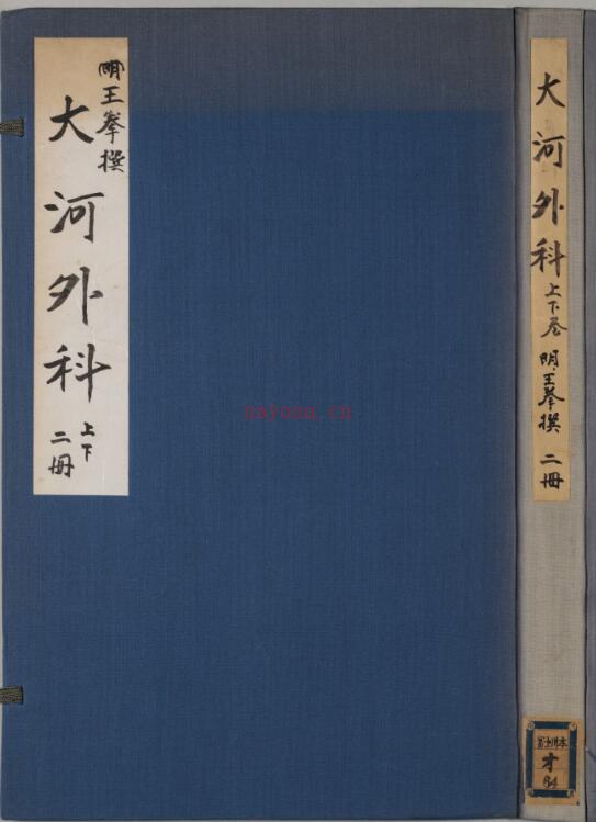 大河外科 2卷.pdf 百度网盘资源