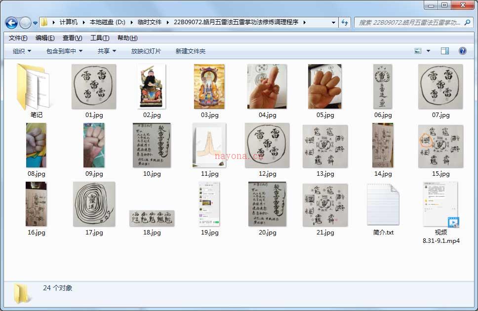 皓月五雷法五雷掌功法修炼调理程序视频+笔记+图片 百度网盘资源