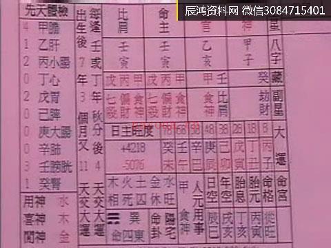 陈昱动-八字高级职业班24集